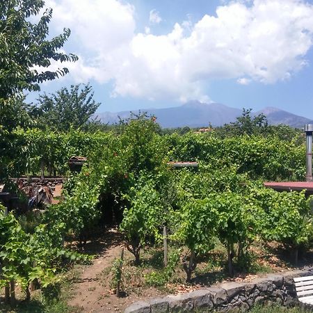 Sorbello Dell'Etna Villa Milo Eksteriør billede