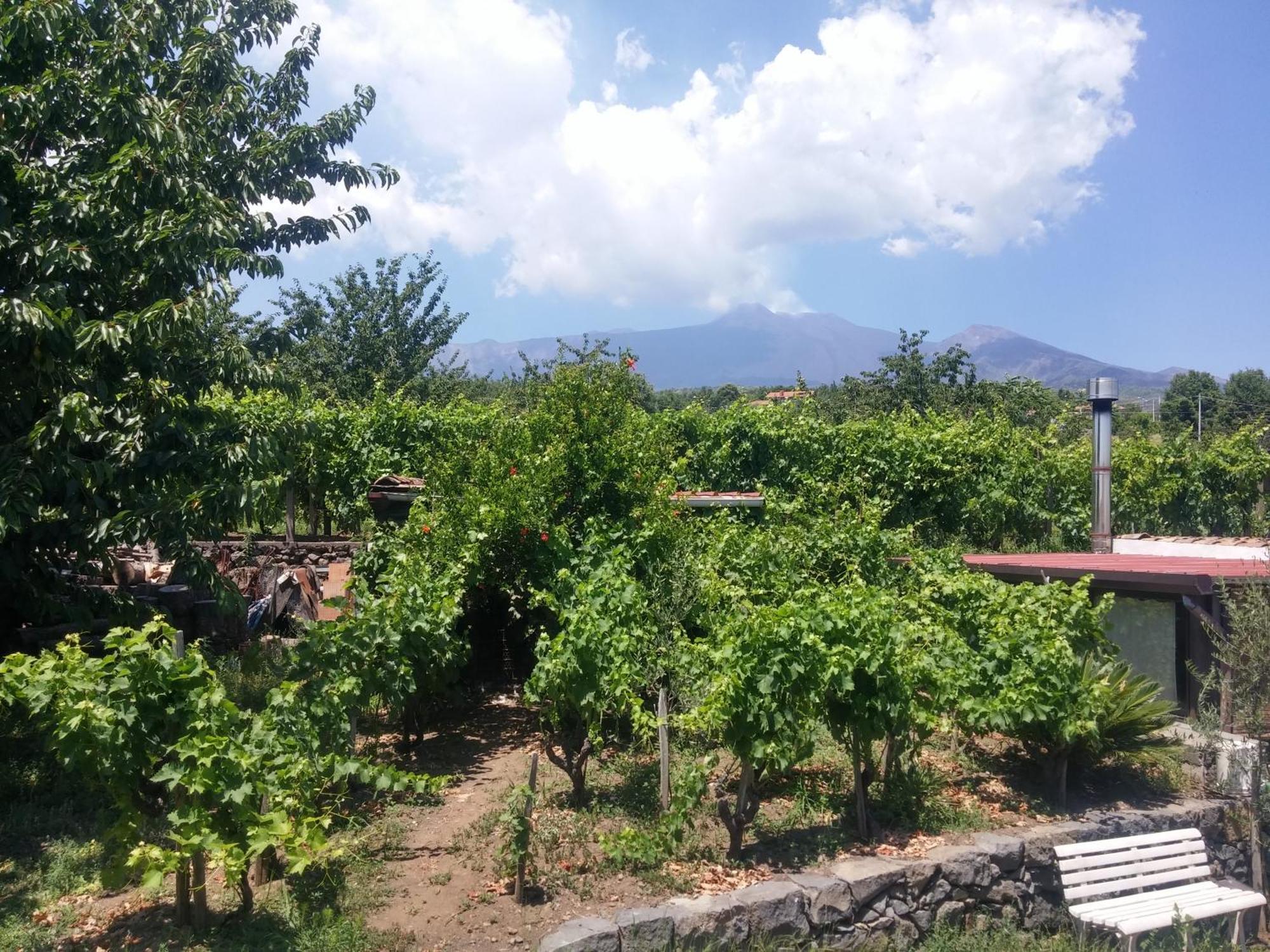 Sorbello Dell'Etna Villa Milo Eksteriør billede