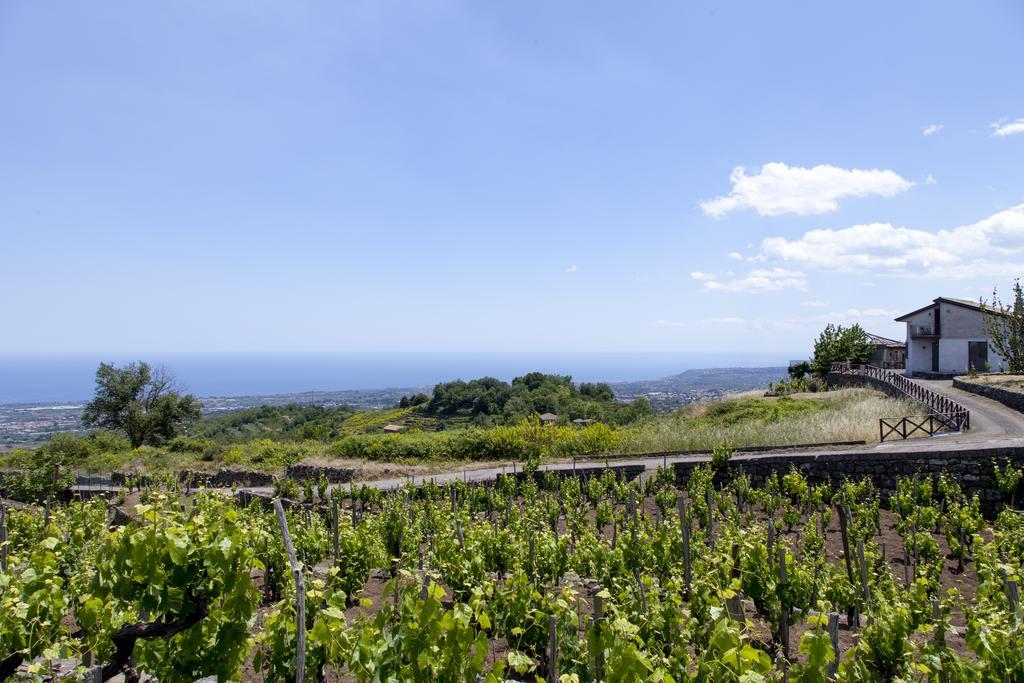 Sorbello Dell'Etna Villa Milo Eksteriør billede